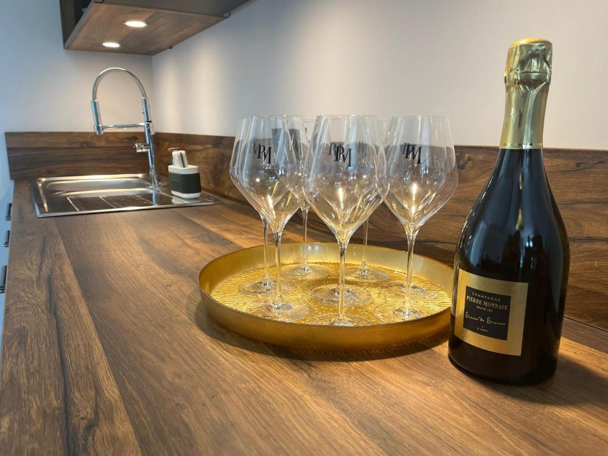 Domaine Pierre Monnaie Βίλα Verzy Εξωτερικό φωτογραφία
